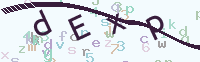 看不清楚？點(diǎn)擊可獲取新的驗(yàn)證碼.