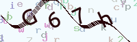 看不清楚？點(diǎn)擊可獲取新的驗(yàn)證碼.