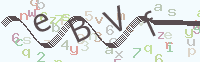 看不清楚？點(diǎn)擊可獲取新的驗(yàn)證碼.