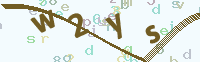 看不清楚？點(diǎn)擊可獲取新的驗(yàn)證碼.