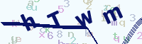 看不清楚？點(diǎn)擊可獲取新的驗(yàn)證碼.