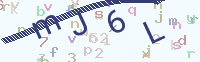 看不清楚？點(diǎn)擊可獲取新的驗(yàn)證碼.