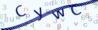 看不清楚？點(diǎn)擊可獲取新的驗(yàn)證碼.