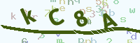 看不清楚？點(diǎn)擊可獲取新的驗(yàn)證碼.