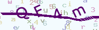 看不清楚？點(diǎn)擊可獲取新的驗(yàn)證碼.