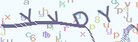 看不清楚？點(diǎn)擊可獲取新的驗(yàn)證碼.