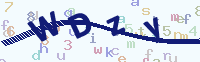看不清楚？點(diǎn)擊可獲取新的驗(yàn)證碼.
