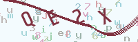 看不清楚？點(diǎn)擊可獲取新的驗(yàn)證碼.