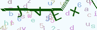 看不清楚？點(diǎn)擊可獲取新的驗(yàn)證碼.
