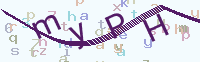 看不清楚？點(diǎn)擊可獲取新的驗(yàn)證碼.