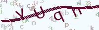 看不清楚？點(diǎn)擊可獲取新的驗(yàn)證碼.