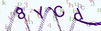 看不清楚？點(diǎn)擊可獲取新的驗(yàn)證碼.