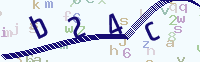 看不清楚？點(diǎn)擊可獲取新的驗(yàn)證碼.