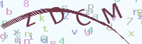 看不清楚？點(diǎn)擊可獲取新的驗(yàn)證碼.