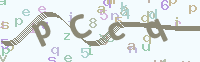 看不清楚？點(diǎn)擊可獲取新的驗(yàn)證碼.