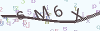 看不清楚？點(diǎn)擊可獲取新的驗(yàn)證碼.