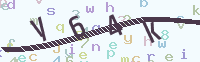看不清楚？點(diǎn)擊可獲取新的驗(yàn)證碼.