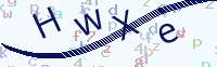 看不清楚？點(diǎn)擊可獲取新的驗(yàn)證碼.