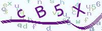 看不清楚？點(diǎn)擊可獲取新的驗(yàn)證碼.