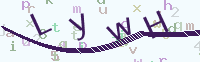 看不清楚？點(diǎn)擊可獲取新的驗(yàn)證碼.