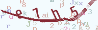 看不清楚？點(diǎn)擊可獲取新的驗(yàn)證碼.