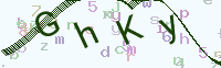 看不清楚？點(diǎn)擊可獲取新的驗(yàn)證碼.