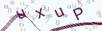 看不清楚？點(diǎn)擊可獲取新的驗證碼.