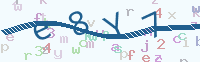 看不清楚？點(diǎn)擊可獲取新的驗(yàn)證碼.