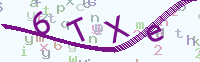 看不清楚？點(diǎn)擊可獲取新的驗(yàn)證碼.