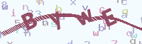 看不清楚？點(diǎn)擊可獲取新的驗(yàn)證碼.