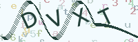 看不清楚？點(diǎn)擊可獲取新的驗(yàn)證碼.