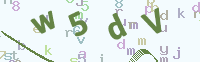 看不清楚？點(diǎn)擊可獲取新的驗(yàn)證碼.