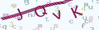 看不清楚？點(diǎn)擊可獲取新的驗(yàn)證碼.