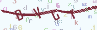 看不清楚？點(diǎn)擊可獲取新的驗(yàn)證碼.