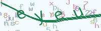 看不清楚？點(diǎn)擊可獲取新的驗(yàn)證碼.