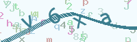 看不清楚？點(diǎn)擊可獲取新的驗(yàn)證碼.