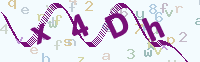 看不清楚？點(diǎn)擊可獲取新的驗(yàn)證碼.