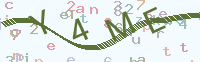 看不清楚？點(diǎn)擊可獲取新的驗(yàn)證碼.