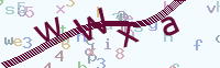 看不清楚？點(diǎn)擊可獲取新的驗(yàn)證碼.