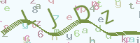 看不清楚？點(diǎn)擊可獲取新的驗(yàn)證碼.