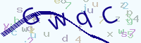 看不清楚？點(diǎn)擊可獲取新的驗證碼.