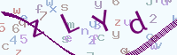 看不清楚？點(diǎn)擊可獲取新的驗(yàn)證碼.