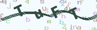 看不清楚？點(diǎn)擊可獲取新的驗(yàn)證碼.