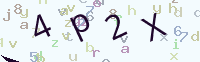 看不清楚？點(diǎn)擊可獲取新的驗(yàn)證碼.