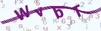看不清楚？點(diǎn)擊可獲取新的驗(yàn)證碼.