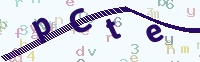 看不清楚？點(diǎn)擊可獲取新的驗(yàn)證碼.