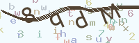 看不清楚？點(diǎn)擊可獲取新的驗(yàn)證碼.