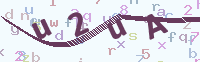看不清楚？點(diǎn)擊可獲取新的驗(yàn)證碼.
