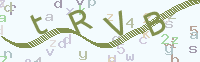看不清楚？點(diǎn)擊可獲取新的驗(yàn)證碼.