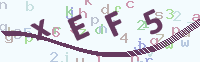 看不清楚？點(diǎn)擊可獲取新的驗(yàn)證碼.